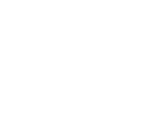 Evolution games at Vip Royal Casino